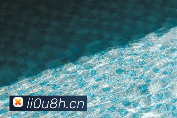 九游j9官网最新地址平台生态图